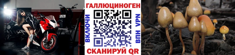 omg tor  Сарапул  Галлюциногенные грибы Magic Shrooms  сколько стоит 